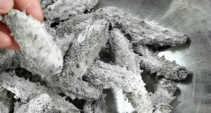 海參的泡發(fā)方法具體步驟竅門,怎樣泡發(fā)海參的正確方法視頻圖1