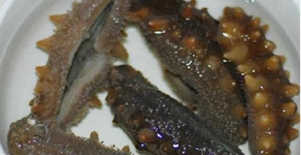 海參的泡發(fā)方法具體步驟竅門,怎樣泡發(fā)海參的正確方法視頻圖10