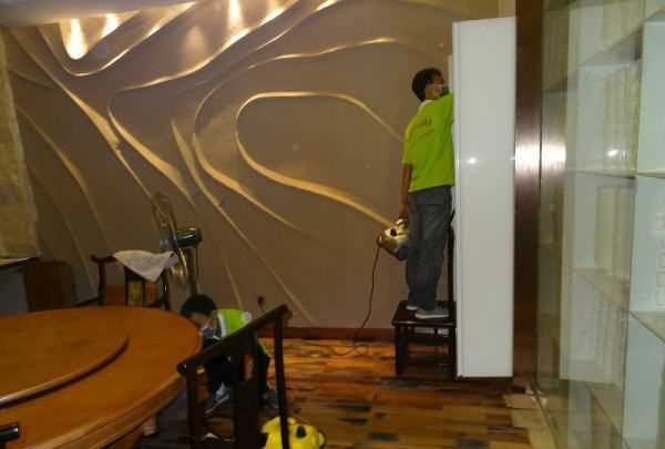 小蟲(chóng)怎么消滅小竅門(mén),家里地板有小蟲(chóng)子怎么消除小妙招圖6