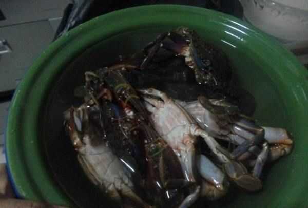 螃蟹開(kāi)水煮多久可以吃,大閘蟹水煮多久可以吃圖3