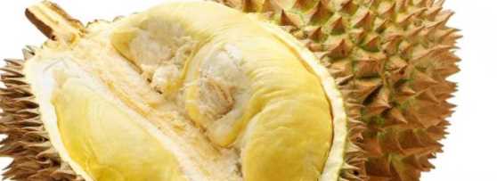 榴蓮熟了會(huì)自己裂開(kāi),榴蓮熟了都會(huì)自己裂開(kāi)嗎圖1