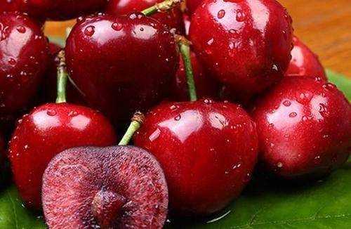 蝦和櫻桃間隔多久能吃,櫻桃與蝦能一起吃嗎圖2