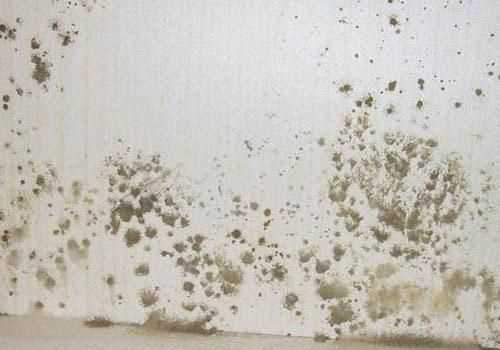 梅雨時(shí)節(jié)是什么季節(jié)?