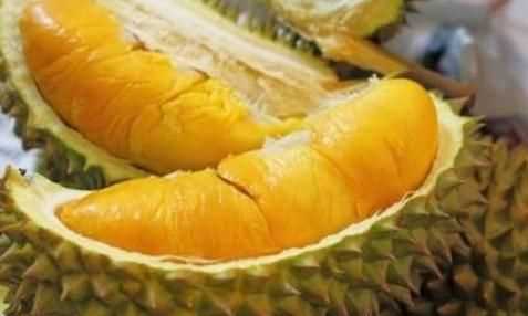 沒開口的榴蓮怎么放熟，買了個(gè)沒開口的榴蓮放了4天了還沒裂開，但是外殼有些已經(jīng)爛了怎么辦？這樣算熟了嗎？圖1