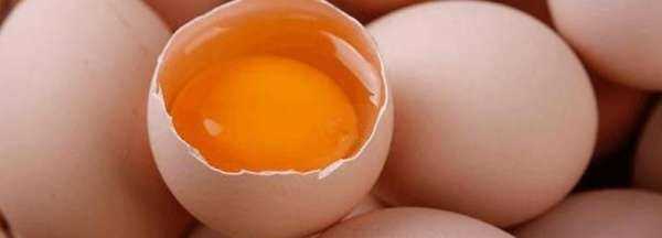 無(wú)菌蛋是什么,無(wú)菌蛋是怎么做到無(wú)菌的 知乎圖1