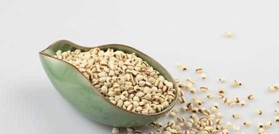 薏米和什么熬粥最好