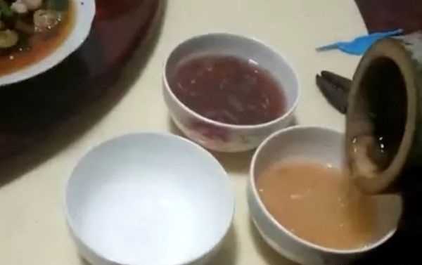 竹子里的佳釀是怎么回事,網(wǎng)紅竹子酒的騙局騙了無數(shù)人,它到底有多坑?圖4