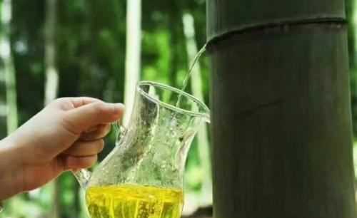 竹子里的佳釀是怎么回事,網(wǎng)紅竹子酒的騙局騙了無數(shù)人,它到底有多坑?圖5