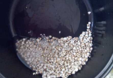 薏米可以和大米一起煮,薏米和大米可以放在一起嗎?圖9