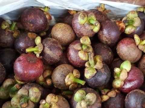 深紫色的厚皮，里面是白色透明的一瓣一瓣的果肉叫什么名字