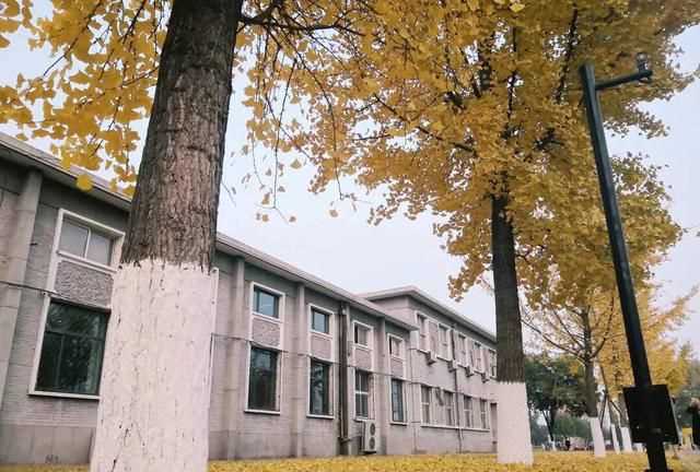 八月是秋天嗎，八月八日是秋天的第一天嗎？圖6