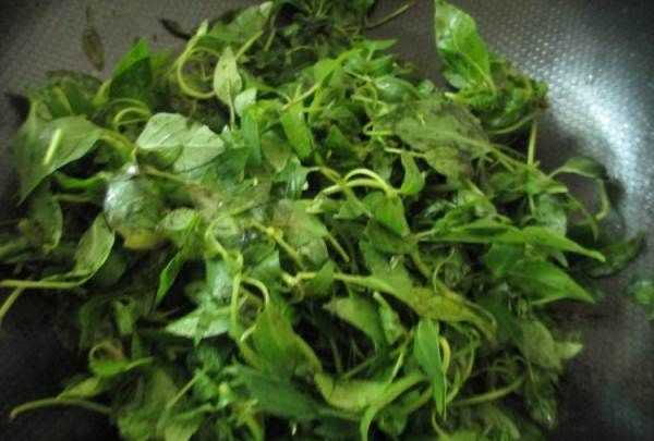 黃瓜荊芥怎么調(diào),完美的黃瓜變蛋拌荊芥怎么做好吃又簡(jiǎn)單圖4