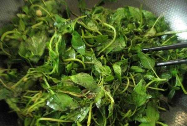 黃瓜荊芥怎么調(diào),完美的黃瓜變蛋拌荊芥怎么做好吃又簡(jiǎn)單圖11