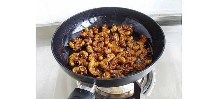 哺乳期能吃爬蚱嗎,寶寶五個月哺乳期寶媽可以吃螞蚱吧 - 百度寶寶知道