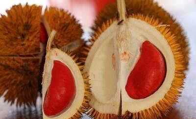 榴蓮瓤變紅色了能吃,榴蓮顏色發(fā)紅還能吃嗎