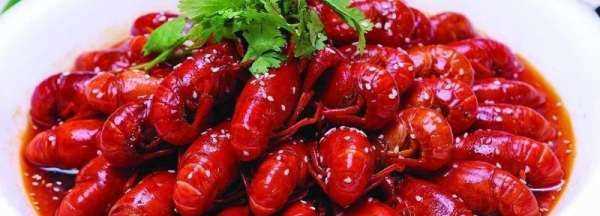 下雨天龍蝦會出來,下雨天龍蝦會出來嗎圖1