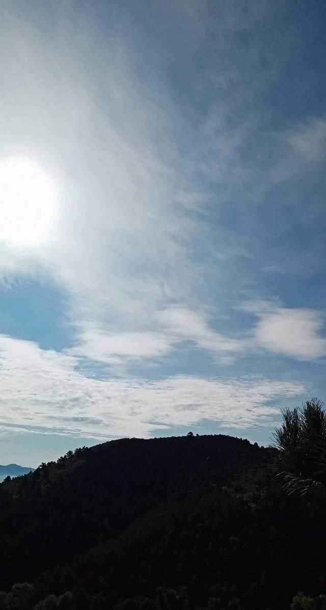 松茸生長在什么地方，北松茸生長在什么地方？圖11