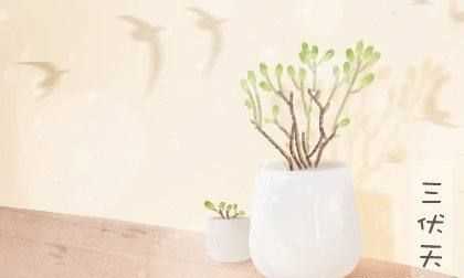 2020伏天多長(zhǎng),三伏天有哪些防暑小常識(shí)圖2