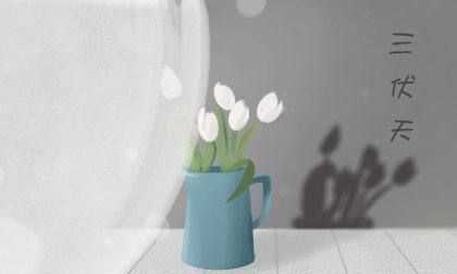 2020伏天多長(zhǎng),三伏天有哪些防暑小常識(shí)圖3