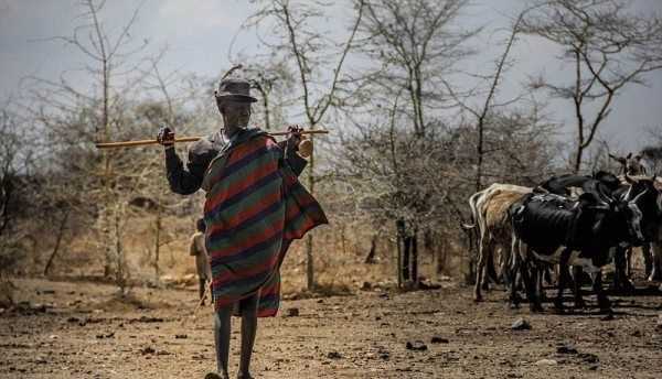 非洲晝夜溫差大不大,非洲的晝夜溫差大不大圖2
