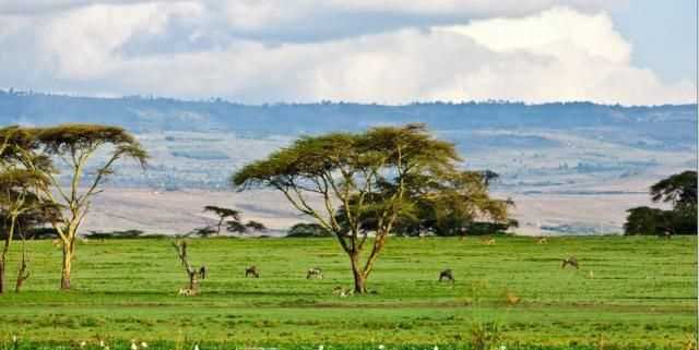 非洲撒哈拉沙漠地區(qū)年溫差小的原因