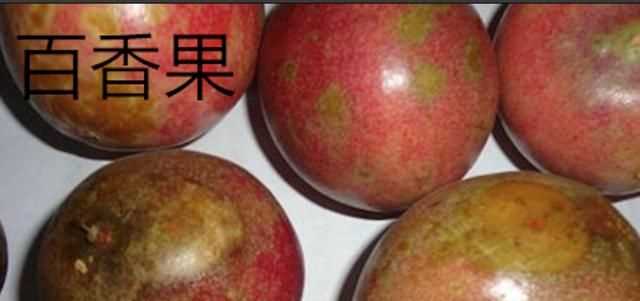 百香果和雞蛋果的區(qū)別，雞蛋果和百香果的區(qū)別？圖2