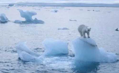 全球變暖的后果,全球變暖引起的后果會濕圖3