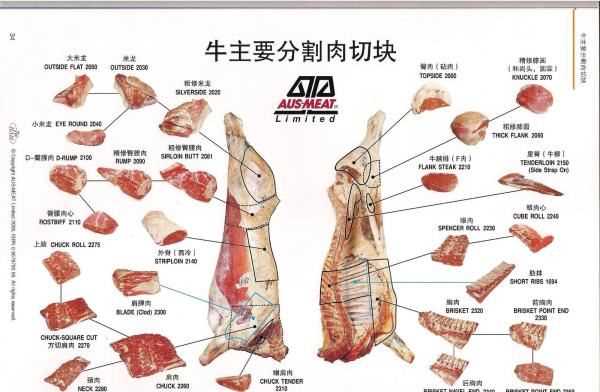 牛胸口是哪個部位,牛胸是哪個部位的肉圖5