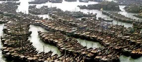 中國(guó)的舟山漁場(chǎng)建在什么流,中國(guó)的舟山漁場(chǎng)建在什么流顯著的海域圖4