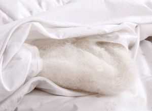 被子用的時(shí)間長(zhǎng)有一股異味而且很潮濕，應(yīng)該怎么辦