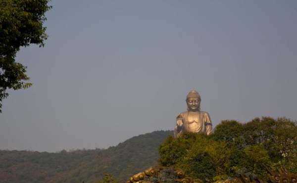 中國最大的佛像在什么地方呢,我國最大的佛像是哪一座圖2