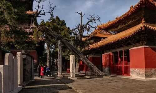 魯西南是哪幾個城市,魯西南是哪幾個城市圖1