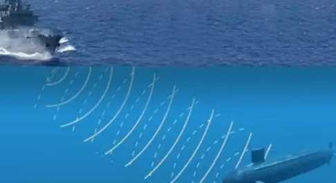 從動(dòng)物身上得到啟示的發(fā)明有哪些,人類(lèi)從哪些動(dòng)物受到啟發(fā)發(fā)明了什么?圖2