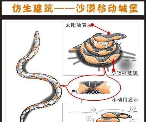 從動(dòng)物身上得到啟示的發(fā)明有哪些,人類(lèi)從哪些動(dòng)物受到啟發(fā)發(fā)明了什么?圖3