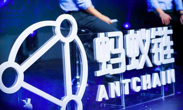 螞蟻集體屬于什么公司