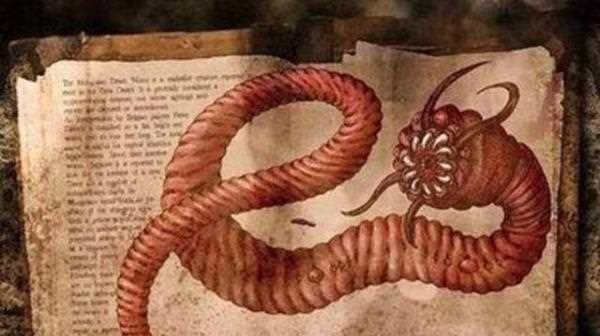 博比特蟲(chóng)有毒,博比特蟲(chóng)有毒嗎圖5