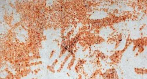 防止鐵釘生銹的方法,防止鐵生銹的方法有哪一些請(qǐng)寫出四種圖3