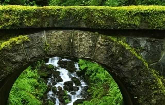 水泥地上的青苔怎么永久清除，水泥地上的青苔怎么消除？圖3