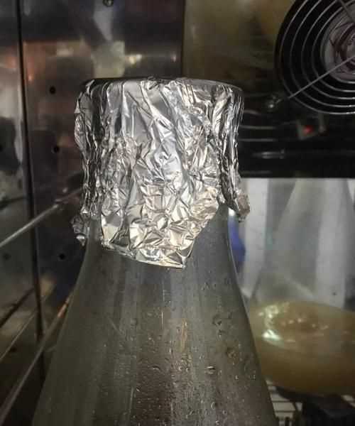 養(yǎng)樂(lè)多怎么喝效果好