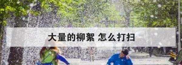 房間柳絮怎么清理,家里到處都是柳絮怎么辦呢圖2