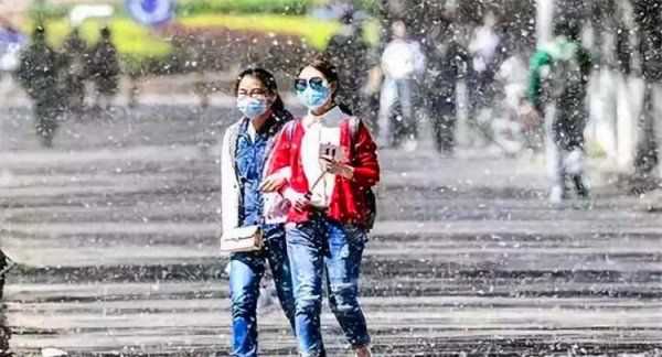 房間柳絮怎么清理,家里到處都是柳絮怎么辦呢圖4