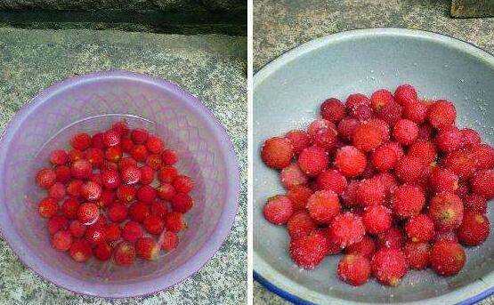 楊梅的正確洗法,楊梅怎么清洗才能洗得干凈泡酒圖8