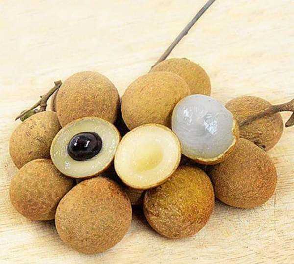 儲良和石硤最大的區(qū)別,石硤龍眼和儲良龍眼的區(qū)別是什么圖2