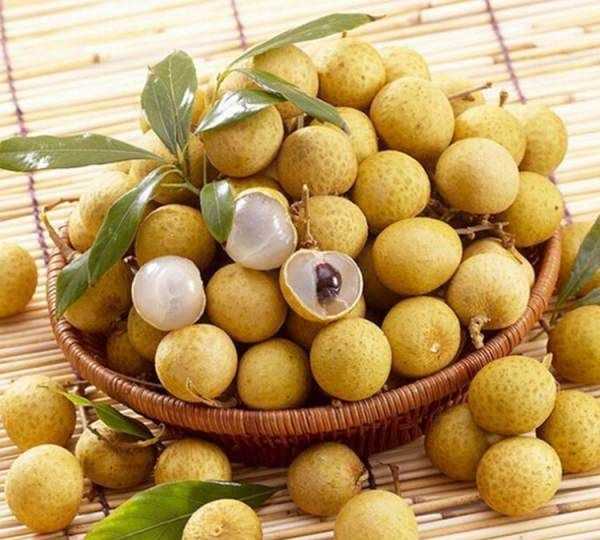 儲良和石硤最大的區(qū)別,石硤龍眼和儲良龍眼的區(qū)別是什么圖8