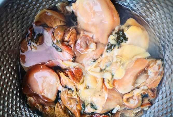 新鮮海蚌怎么處理