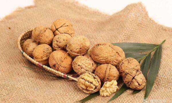 鮮核桃和干核桃區(qū)別,新鮮核桃和干核桃哪個(gè)更有營養(yǎng)圖6