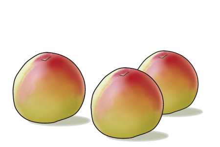 桃子保存保鮮方法,桃子怎么保存才能保鮮時間長圖4