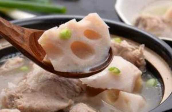 鴨子可以燉什么,老鴨子和什么燉最好圖4