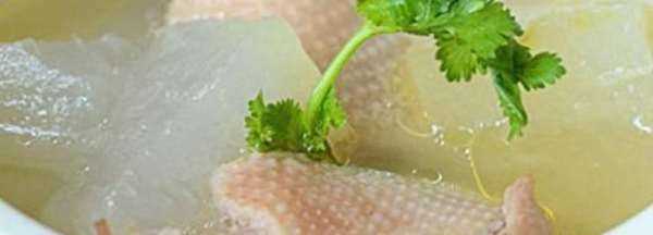 鴨子可以燉什么,老鴨子和什么燉最好圖10