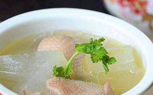 鴨子可以燉什么,老鴨子和什么燉最好圖13